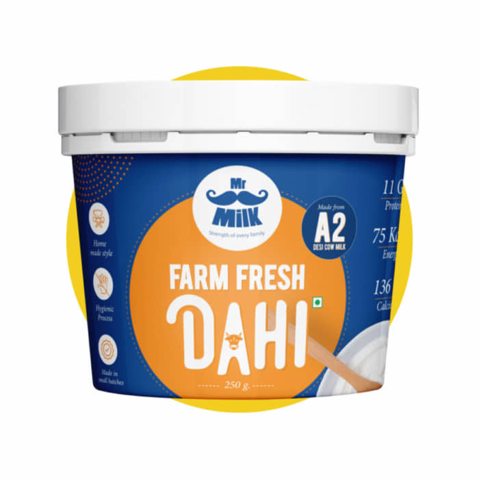 Mr.plaster BLUE FRONTLINEfactory Plaster